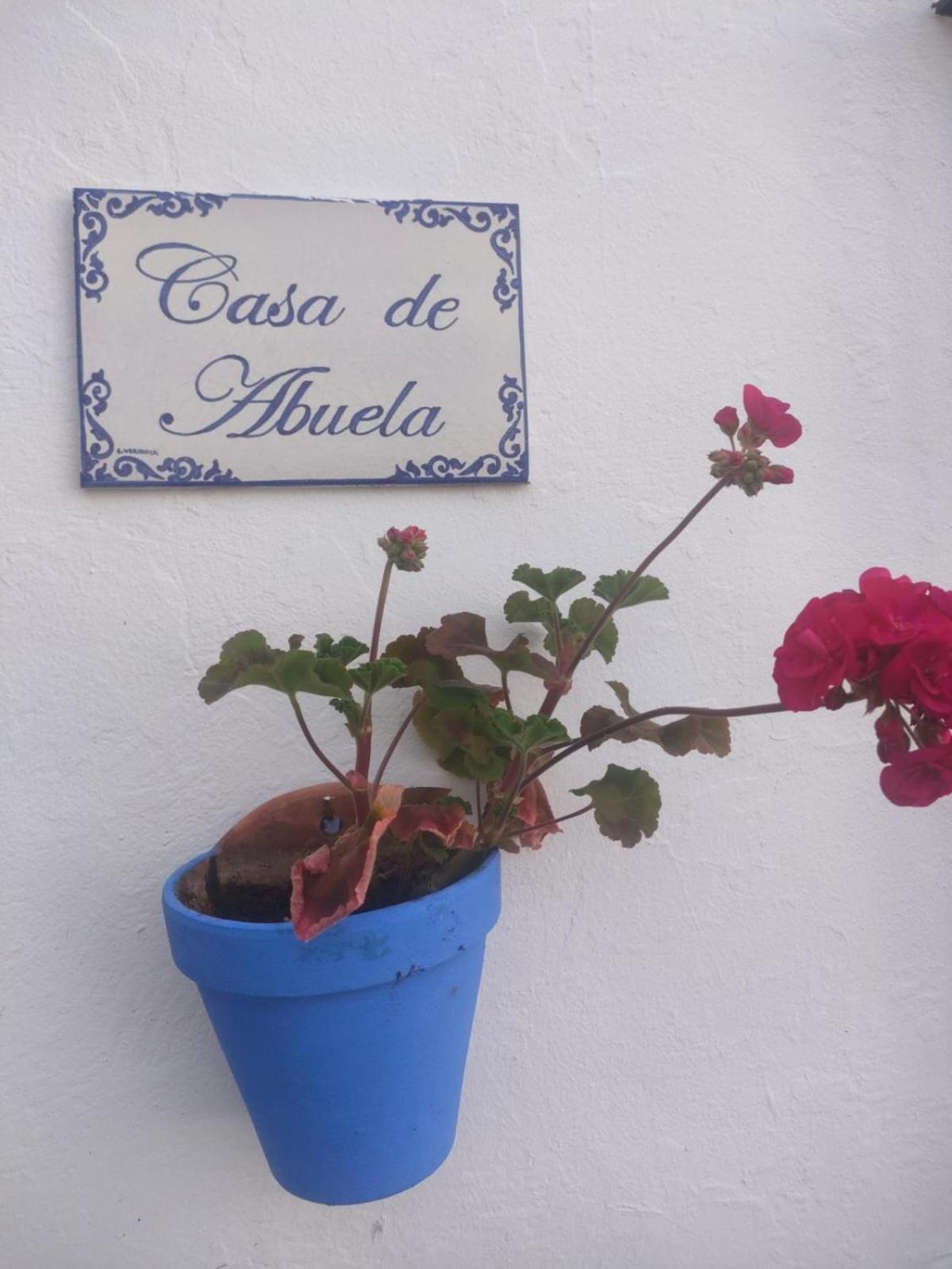 Casa De La Abuela Villa Sanlúcar de Barrameda Dış mekan fotoğraf